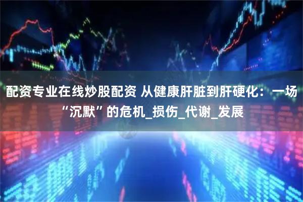 配资专业在线炒股配资 从健康肝脏到肝硬化：一场“沉默”的危机_损伤_代谢_发展