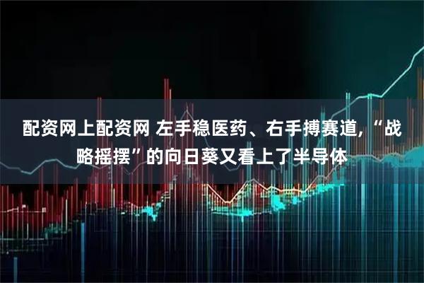 配资网上配资网 左手稳医药、右手搏赛道, “战略摇摆”的向日葵又看上了半导体