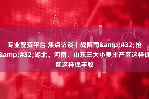 专业配资平台 焦点访谈｜战阴雨 抢农时 湖北、河南、山东三大小麦主产区这样保丰收